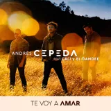 caratula de Te Voy a Amar
