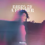 caratula de BIRDS OF A FEATHER
