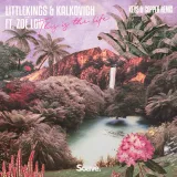 caratula de This Is The Life (Keys & Copper Remix) (feat. Zoë Low)