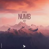 caratula de Numb