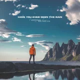 caratula de Have You Ever Seen The Rain (feat. Music Travel Love)