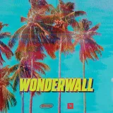 caratula de Wonderwall
