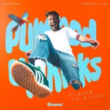 caratula de Pumped Up Kicks