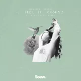 caratula de I Feel It Coming