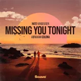 caratula de Missing You Tonight