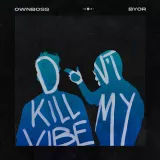 caratula de Don't Kill My Vibe