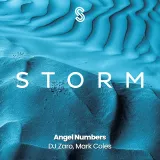 caratula de Angel Numbers (Radio Edit)