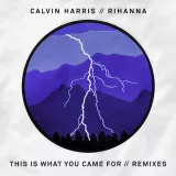 caratula de This Is What You Came For (Extended Mix)