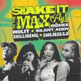 caratula de Shake It To The Max (FLY) (Remix)