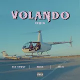 caratula de Volando (Remix)
